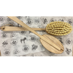 Dry Brushing Massage