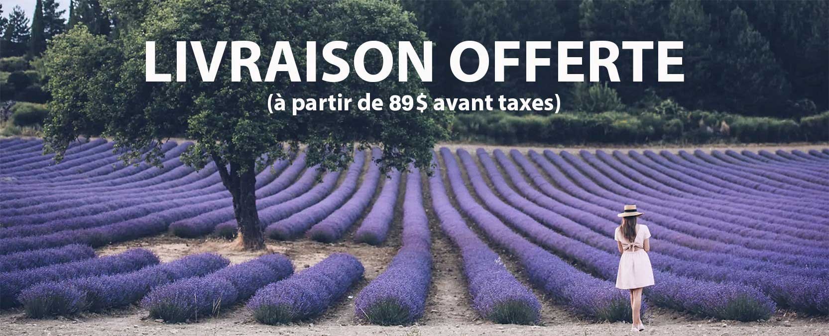 Free delivery for 89$ without tax